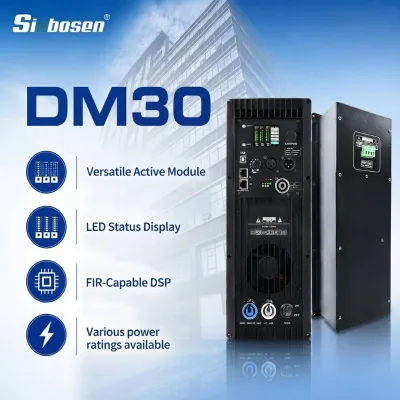 Sinbosen DM30 Double Channel Switching Speaker Power Amplifier Module 1500W Class D Subwoofer Board