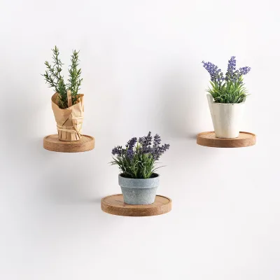 Factory Supplier  Wood Small  Floating Shelf, Wooden Floating Plant Shelves,Showcase Planter for Wall Mounted Herbs and Flowers