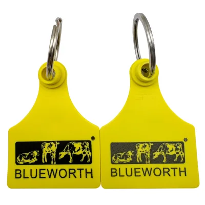 Ink Printed Laser Engraved logo Tags with Keyring Keychain Tags Female Tag Only 8 Colors Keyrings