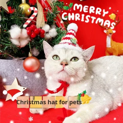 Christmas Wholesale Cute Handmade  Pet Knitted Collar Hat & Cap for Holiday Party Pets