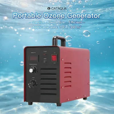 Swimming Pool Ozone Generator High Output Corona Discharge Quartz Tube Timer for Fish Ponds for Fish Farming