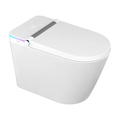 US Stock  Floor-Mounted Elongated Includes Seat Heating Installation Type Floor Mounted Smart Toilet