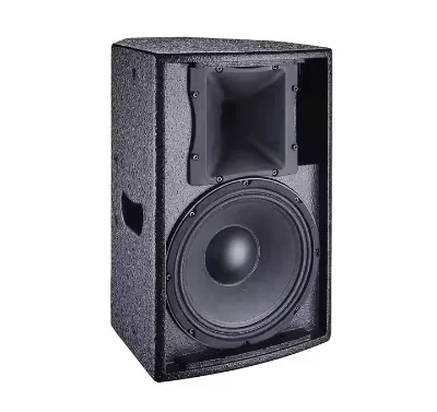 Professional Live Sound 10" Sistema De Sonido Parlante De Portable DJ Audio System