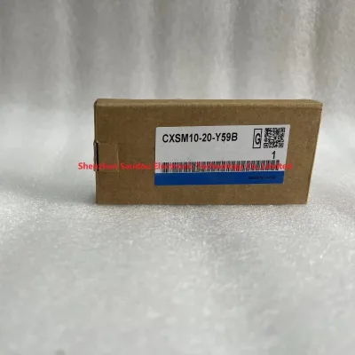 Twin Cylinder CXSM10-20-Y59B