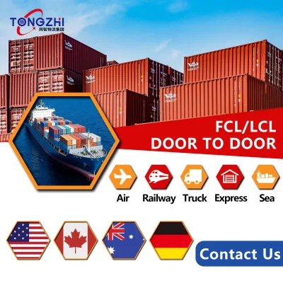 Professional Sea Shipping China Ddp Sea Freight China Shipping Agent to Usa UK Canada Australia Italy FR GE Cheap Shipping