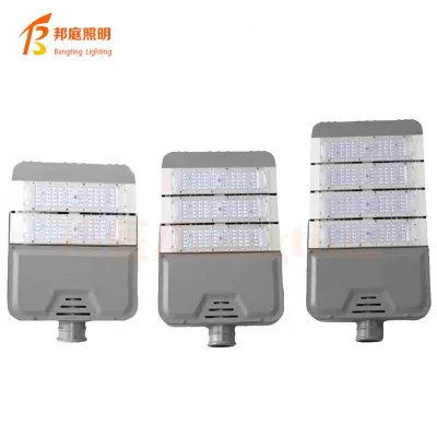 Waterproof Decorative Aluminum Without Light Source Ground Mounted Garden Lights Outdoor Garden Lamp /Lawn Lights/Outdoor Lights