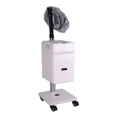 Professional Direct Sales Price Modern Foldable Plastic Salon Hair Steamer Nano Mist Spa
