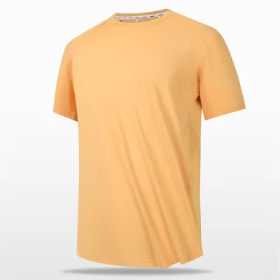 Mens Breathable Fitness Multi Color Training T Shirt Custom Logo Athletic Quick Dry Short Sleeves Mens Tshirts