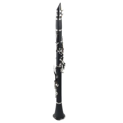 New Selling Clarinet 17 Keys BB Clarinet Closing Hole Clarinet Special Style