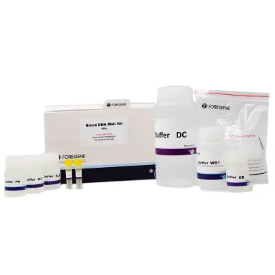 Molecular Biology Reagents Blood DNA Midi Kit (1-5ml) Blood Isolation Midi Kits for DNA From Blood