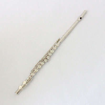 Wholesale Accept Custom Flute Woodwind Instruments Flute 16 Holes Flute for Sale