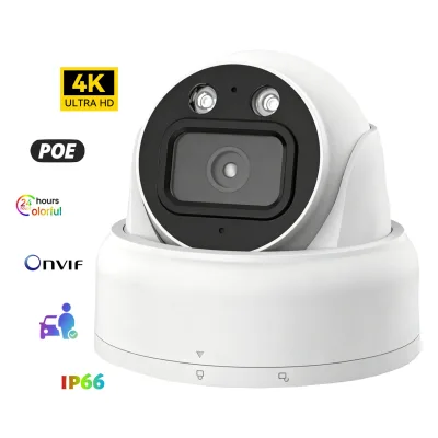 Mini Shape Outdoor Network Camera 2MP Metal Sphere Waterproof Home Smart Security Camera With Built-In Mic