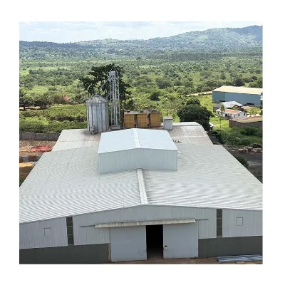 Steel Structure Workshop Prefab Building Factory Building Warehouse for Chicken Cattle Pig House Cow Farm