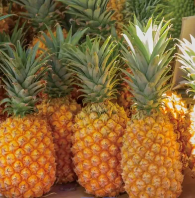 Fresh Pineapple
