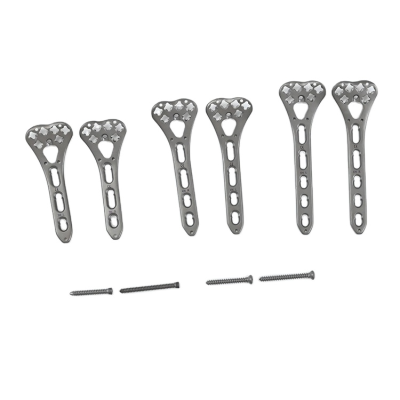 Healmeds Surgical Orthopedic Implants Distal Radius Locking Plate Distal Radius Plate for Fracture Surgery