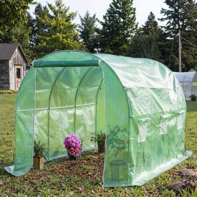 Tunnel Outdoor Mini Commercial Greenhouse Structure and Equipment Kit for Agricultural Garden