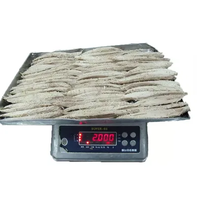 150-300g Frozen Precooked Bonito Tuna Fish Loin for Sale