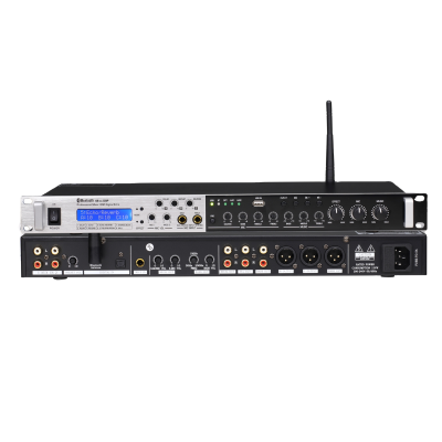 Professional Factory High Quality Karaoke Audio Sound Equipment Delay Effects With CE Certificate