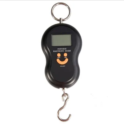 2023 Best Price Factory Directly Wholesale Fishing Scale 40kg Tackle Cattle Weighing Scale