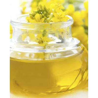 Top Quality Refined Canola Oil Wholesale Suppliers | Pure Edible Cooking Oil Bulk Export at Competitive Factory Direct Price