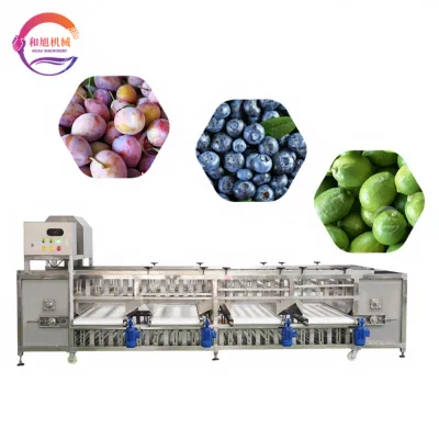 Fruit and Vegetable Sorting Machine Plum Peach Potato Inspection Conveyor Sorting Machine