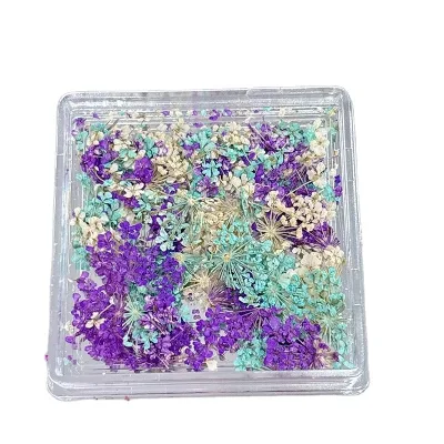 Handicraft Mixed Diy Natural Real Dried Flowers Plants for Nails Dried Flowers 3d Charms Nail Art Decoration Press on Nails