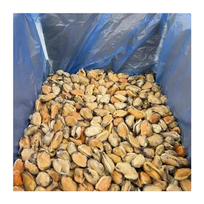 Hot Seller Frozen Mussels Meat Competitive Prices IQF Processed in Different Sizes