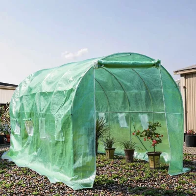 Agricultural Film Greenhouse with Windproof Design for Outdoor Farm Use