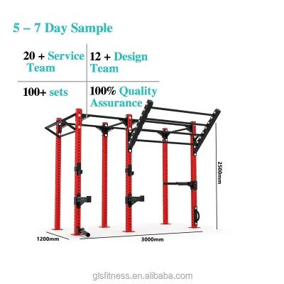 Customized Gym Equipment Machine Cage Heavy Duty Steel Cf Training Rack Power Rack Rigs for Gym Climbing Training