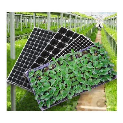 Premium Seedling Tray Durable Ideal for Planting Germination with Drainage Holes