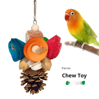 Parrot Toy Bird Eco-Friendly Chew String Natural Shell Mountain Pineapple Pine Cone Combination Toy Color Decorative Pendant
