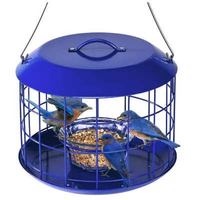JH-Mech Squirrel-Proof Caged Design Round Rain & Snow Shield Top Protective Metal for Small Birds Bird Feeders for Outdoors