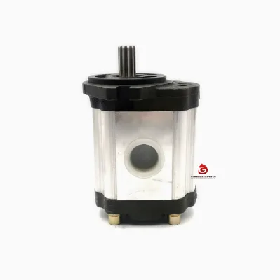 Double Gear Hydraulic Pump for Tractors Agriculture Spare Parts for Hydraulic Systems