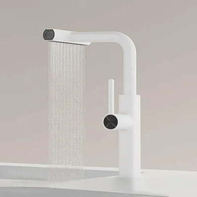 Dual Function Polished Black Pull Out Spray Gold Modern Ceramic Valve Core Washroom Basin Faucet