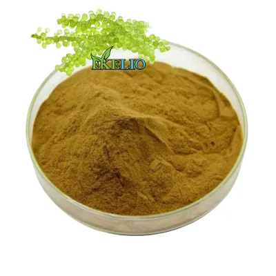 Natural Herbal Sea Grape Extract Sea Grape Powder Coccoloba Uvifera Extract Powder