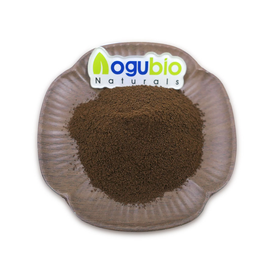 OEM Private Label Coffee Instant Mushroom Coffee Organic Mushroom Coffee Powder