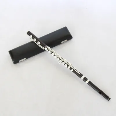 FOCUS Brand Portable C Tone Flute with 17 Open Holes E Mechanism Silver Plating Instrument Case-Low Price