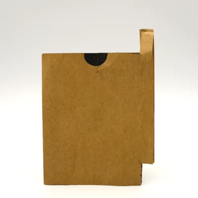 Agriculture Use Mango Growing Paper Bag Waterproof Fruit Protection Paper Bag for Fruit