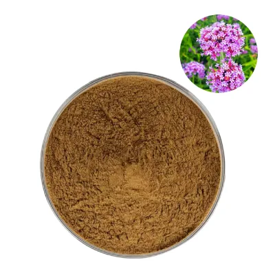 Factory Supply High Quality Blue Vervain Extract Powder Verbenae Herbal Vervain Extract