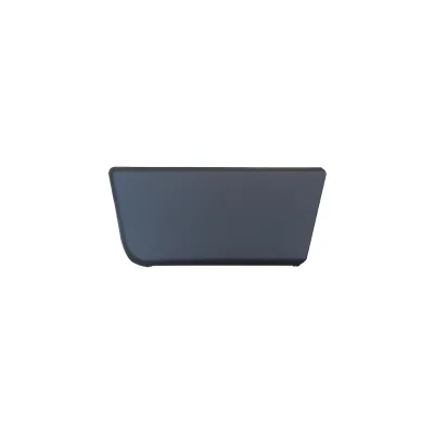 Auto Body Space Parts Car Door Molding Door Decorative Strip Door Sill Protector for Dodge Pro Master 2019 2020 2021 2022 2025