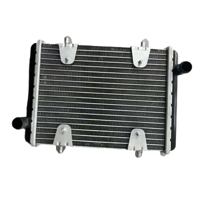 New Auto Cooling Radiator for Mercedes-Benz G Class W463 Auxiliary Radiator OEM 4635010200