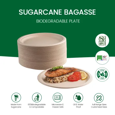 PFAS FREE Natural Compostable Bagasse Plate Heavy Duty Disposable Tableware Sustainable Food Packaging