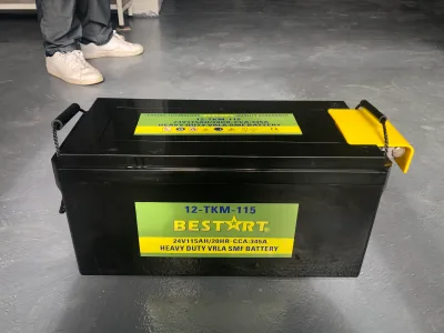 VRLA MF 24V110ah Heavy Duty Deep Cycle Battery-12-TKWA-115 for Tank 24V115ah Deep Cycle Tank
