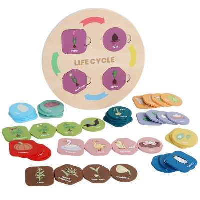Wholesale Colorful Life Cognitive Puzzle Animal Plant Growth Cycle Change Puzzle Wooden Science Education Puzzle