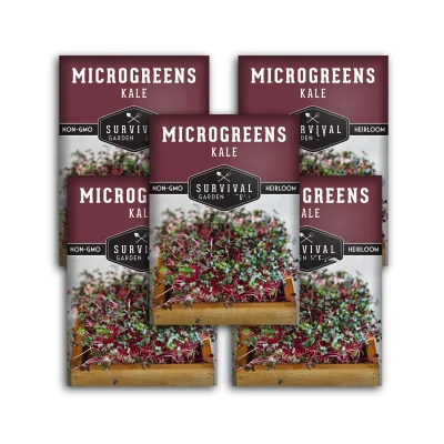 Set of 5 Packs Microgreens Grow Kits That Growing Green Leafy Micro Vegetable Indoors