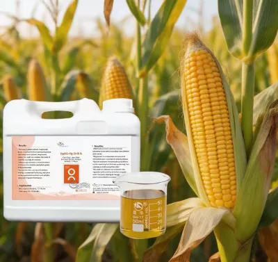 High Quality Premium Liquid Corn Fertilizer for Plump Roots & Robust Seedlings Boosting Crop Yield