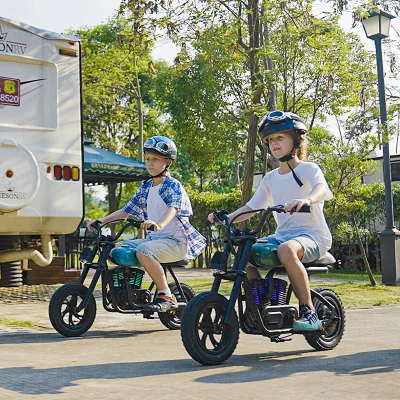 HYPER GOGO Pioneer 12 24V Electric-powered Dirt Bike for KIDS 12inch Overseas Stock Available