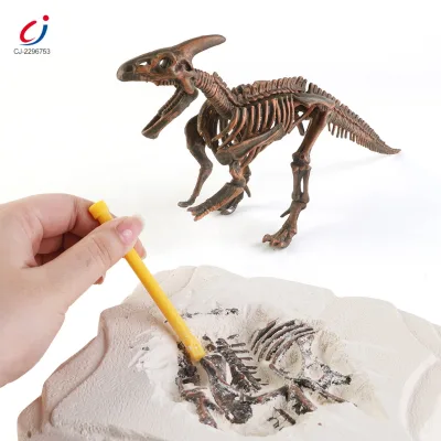 Chengji Educational Science Diy Excavation Animals Fossil Kit Dinosaur Skeleton Archeology Toy Dig