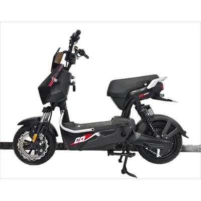 2025 The new high-speed fashion design 48v500w motor can be used for adult 2-wheeled electric motorcycle bike for daily travel