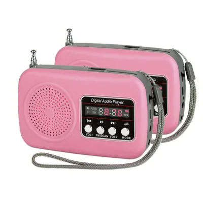 Dewant L-839 Bulk Wholesale Cheapest Portable Mini Mp3 Players With FM Radio